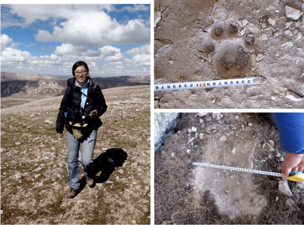 南宫体育- 邵阳市公安局猎豹突出队队员段鹏 